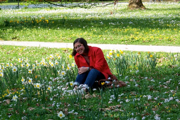 Daffodils at Schloss Hellbrunn in Salzburg