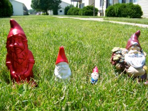 To gnome me is to love me
