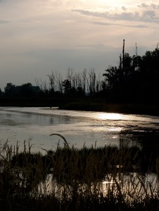 Pickerel Creek Wildlife Area