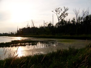 Pickerel Creek Wildlife Area