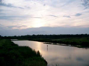Pickerel Creek Wildlife Area