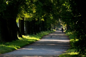 Hellbrunner Allee