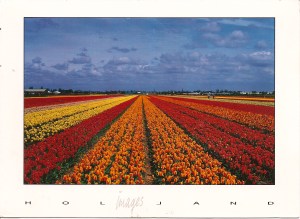 PC Netherlands3