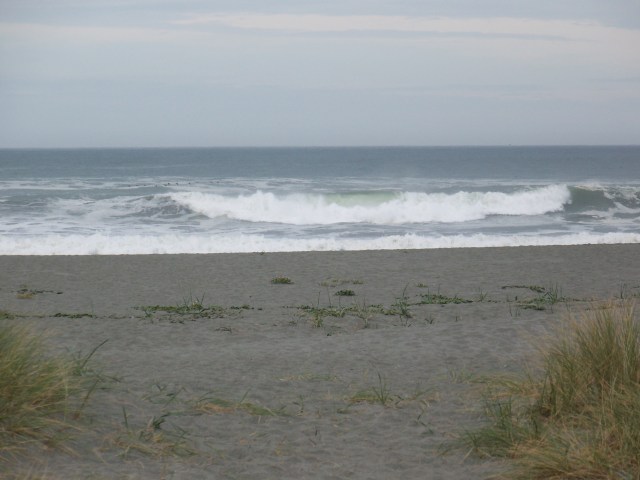 Gold Bluffs Beach