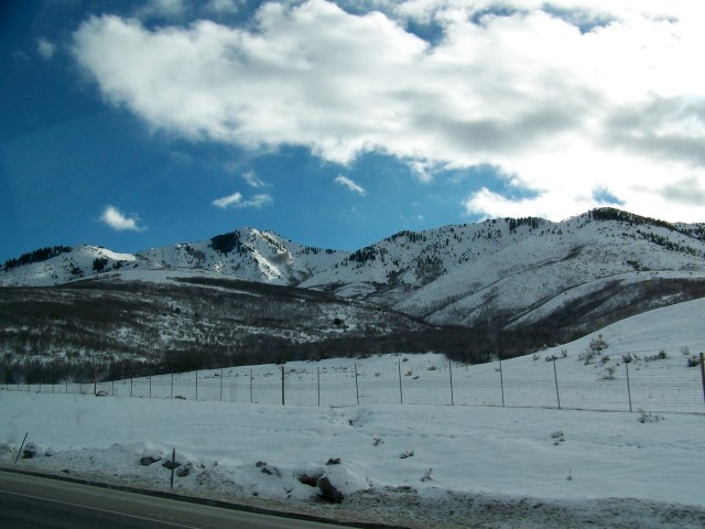 Wasatch