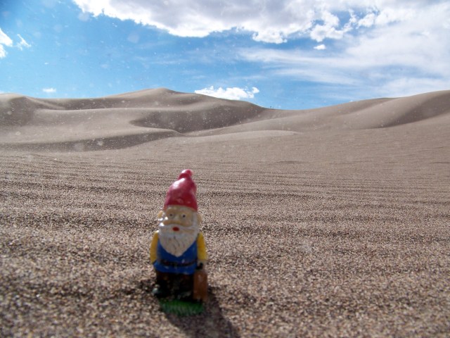 Cedric in the sand dunes