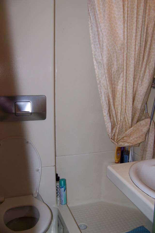Shower
