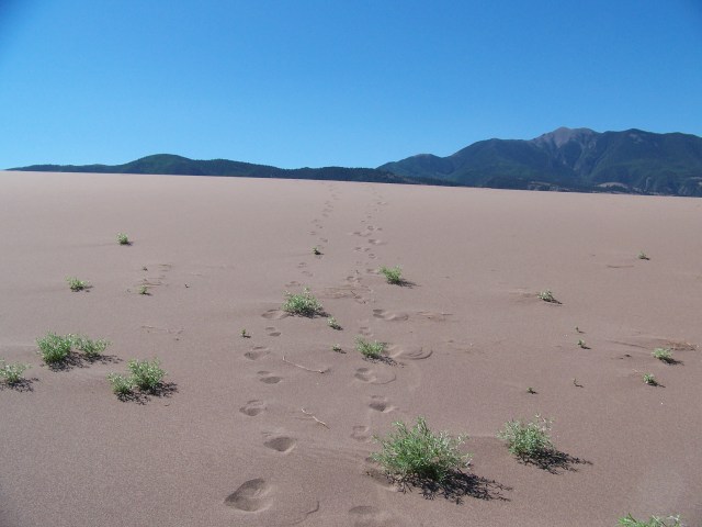 Our footprints in the sand