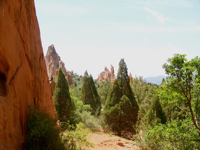 Garden of the Gods, trees