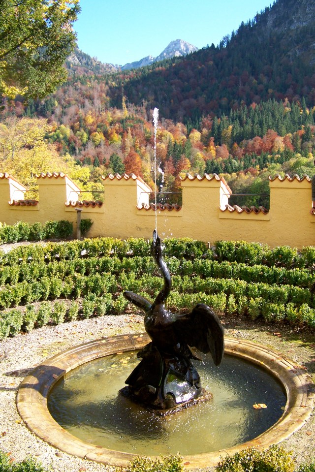 Hohenschwangau swan