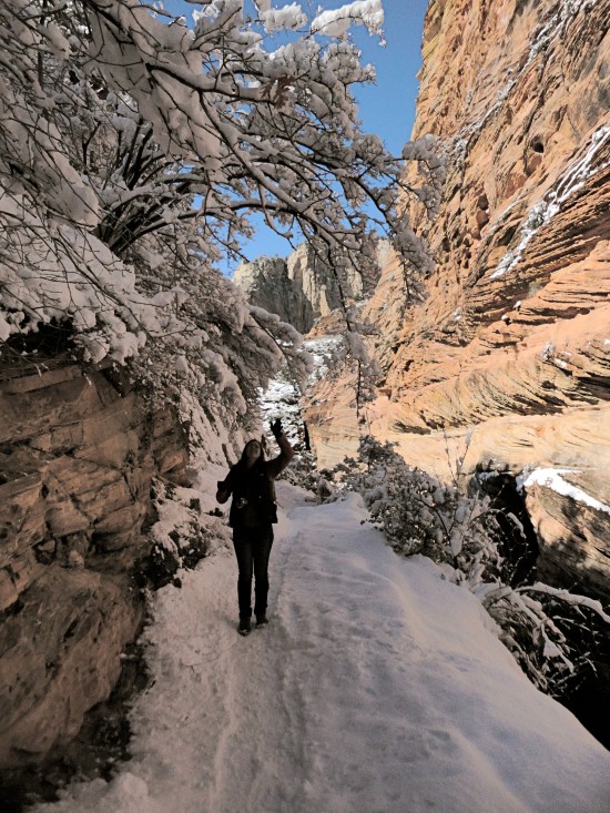 On the snowy trail to Observation Point