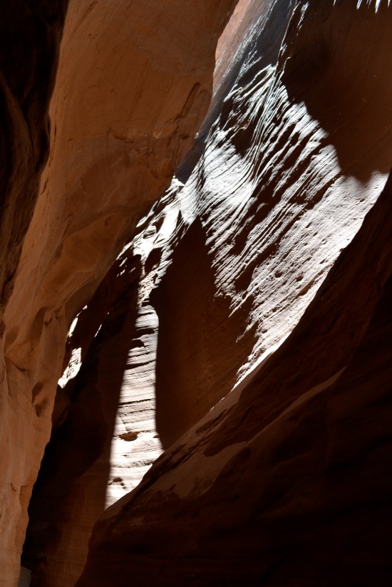 West Fork of White Roost