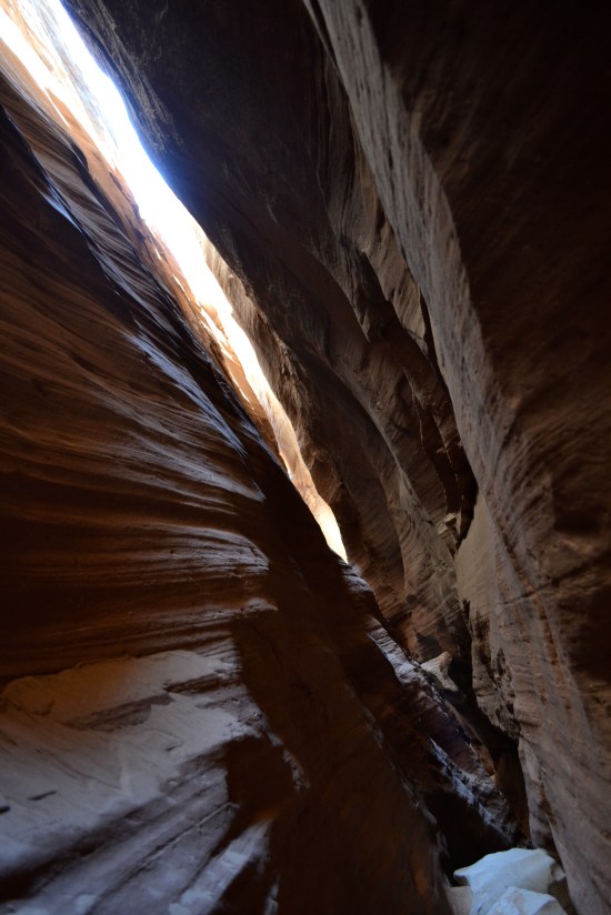 West Fork of White Roost