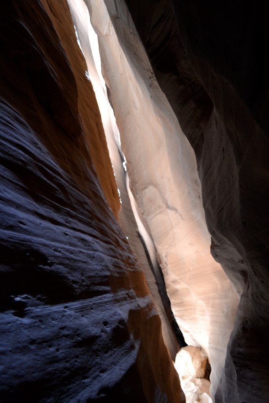 West Fork of White Roost