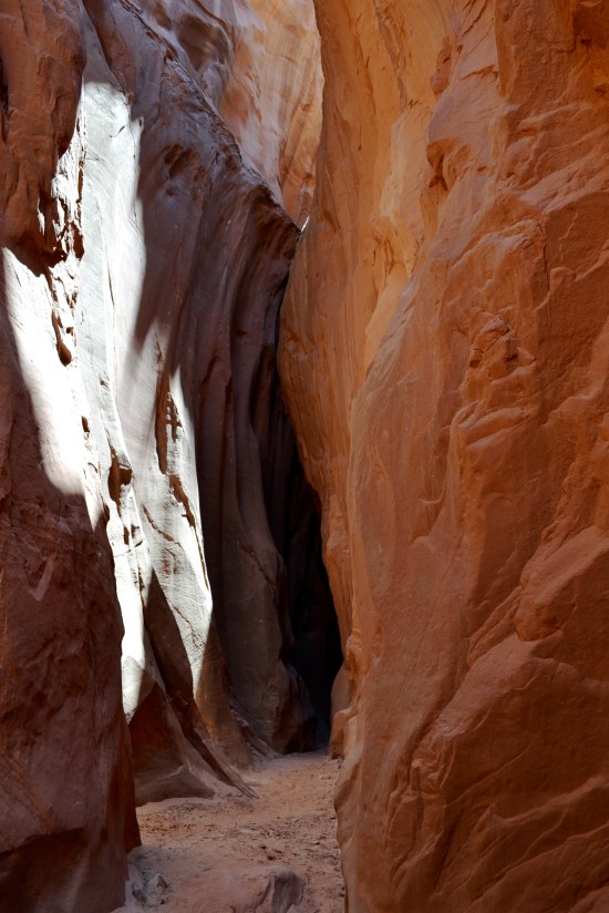 Little West Fork of Blue John Canyon