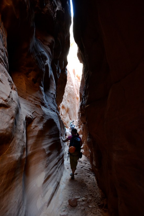 Main Fork of Blue John Canyon