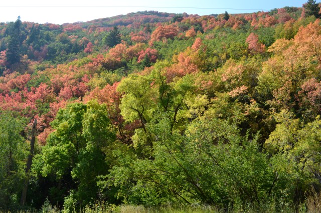 Changing leaves new Sundance Resort