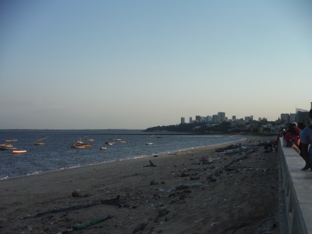 DSCF3719