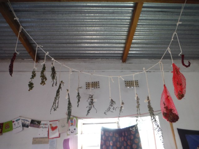 DSCF4143