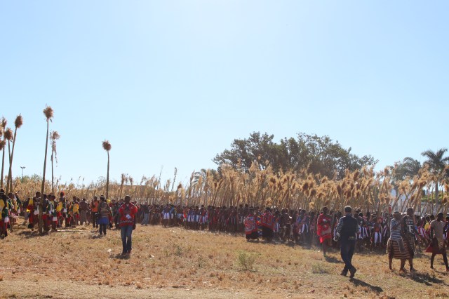 Umlanga 2017 389