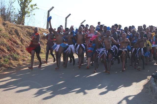 Umlanga 2017 630