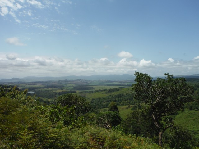 DSCF4390
