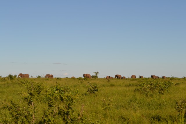 DSC_0328